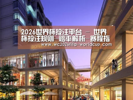 案例展示一(图1)
