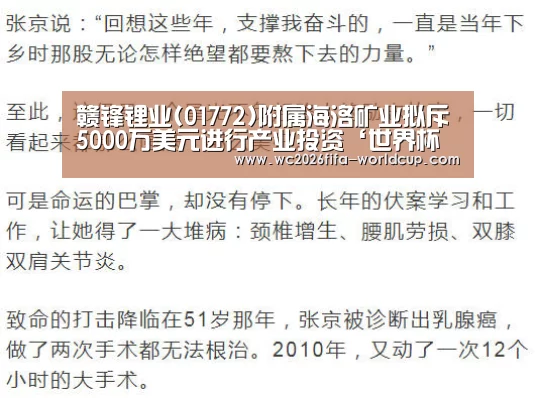赣锋锂业(01772)附属海洛矿业拟斥5000万美元进行产业投资‘世界杯下注’(图2) 世界杯下注平台